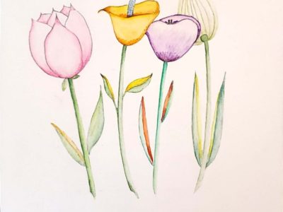 atelier kong botanical illustrations watercolor pencils artwork kawaii